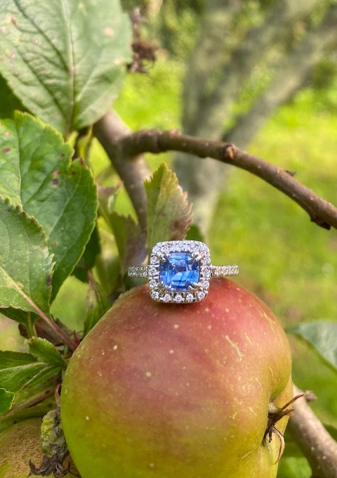 Bague MYANMAR en or blanc 18K avec diamants et saphir bleu.