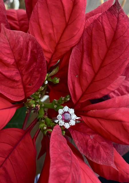 Anillo SIMONETA en oro blanco de 18K con roseta de diamantes y rubí|Anillos con Rubíes|Godiam Alta Joyería