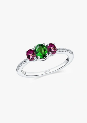 Anel MINI RAINBOW ouro branco 18K diamantes e tsavorita.