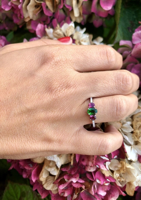 Anel MINI RAINBOW ouro branco 18K diamantes e tsavorita.