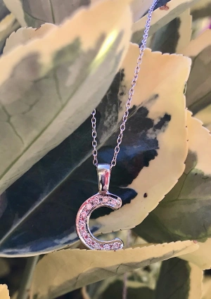Grand pendentif initial C avec une fine chaîne rolo en or blanc 18 carats avec diamants taille brillant. 2
